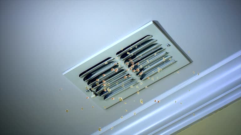 Best Residential Air Duct Cleaning  in Pageland, SC